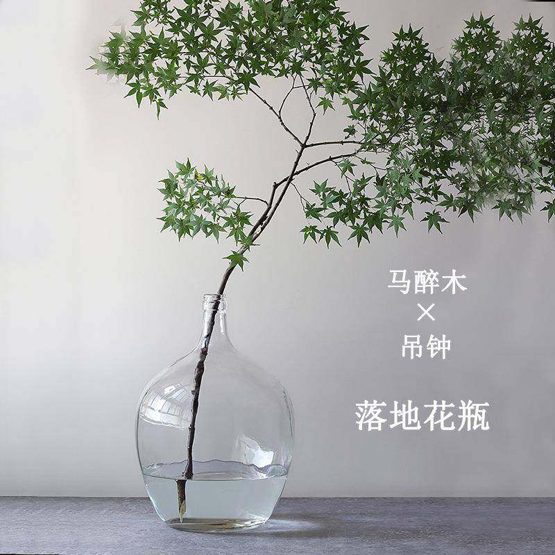 简约透明大肚玻璃花瓶小口马醉木花瓶吊钟插花客厅摆件水容器大号,橡塑材料及制品,玻璃容器/玻璃瓶,淘宝优惠券,粉丝福利购,淘宝优惠卷