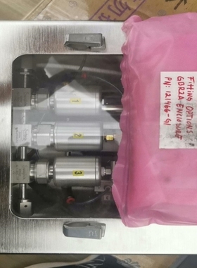 【议价】MKS GBR GBR2B23CR100 2000SCC与秀配件