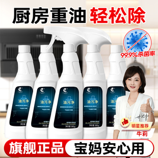 净浮生油污净厨房重油污清洁剂灶台清洗整箱餐饮饭店家政商用神器