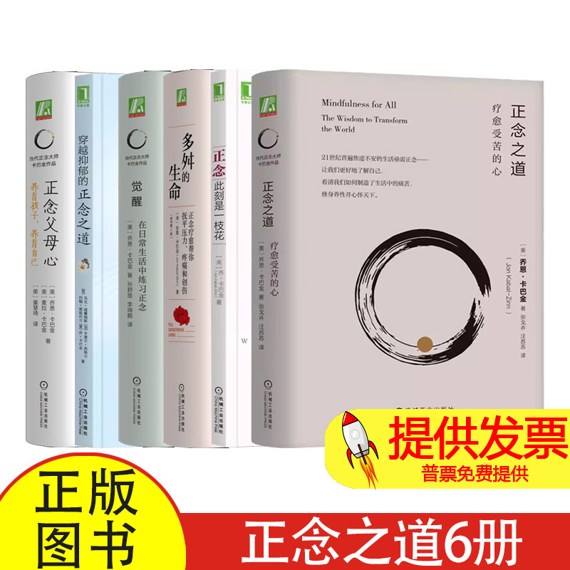【6本】卡巴金正念之道 穿越抑郁 正念此刻是一枝花 多舛的生命 正念疗愈帮你抚平压力疼痛创伤 正念减压疗法身心疗愈 心理咨询