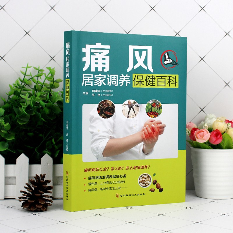 痛风居家调养保健百科田建华,张伟河北科技出版社9787537557504保健/心理类书籍/家庭医生