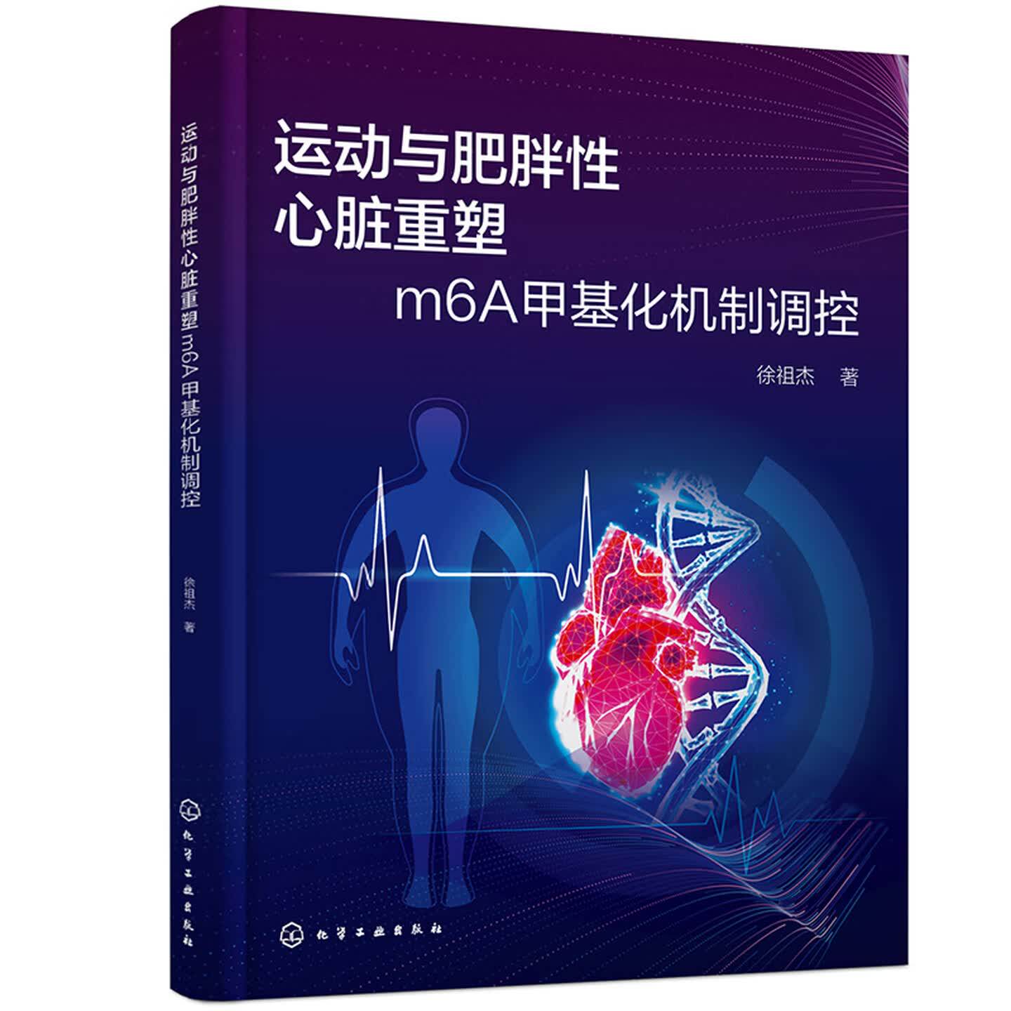 运动与肥胖性心脏重塑m6A甲基化机制调控徐祖杰化学工业出版社有氧运动调节高脂饮食改善病理性重塑非编码RNA调控心血管疾病防治