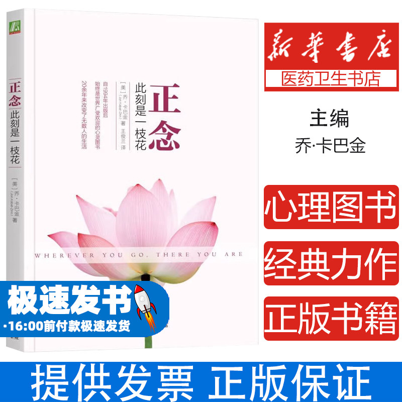 正念 此刻是一枝花 乔卡巴金 书籍 人生书 修身养性书修身养性正能量积极心理学自我调节
