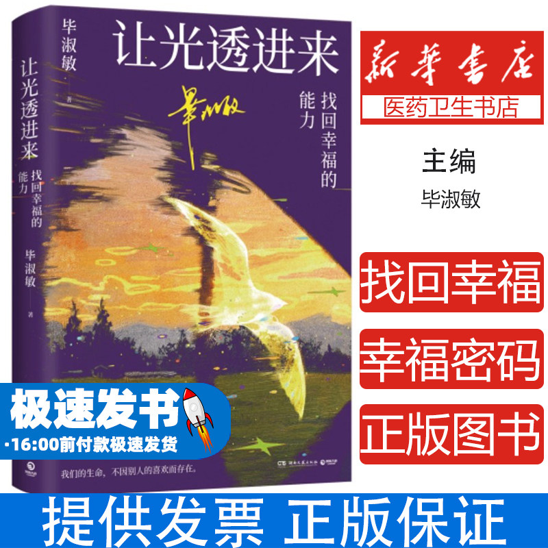 让光透进来:找回幸福的能力毕淑敏 著湖南文艺出版社9787572624018社会科学/心理学