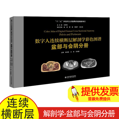 数字人连续横断层解剖学彩色图谱:盆部与会阴分册:Pelvis and perineum刘树伟总主编山东科学技术出版社9787572306785