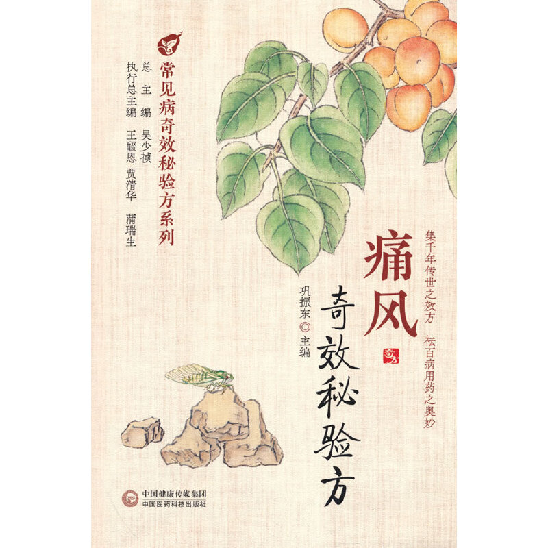 痛风奇效秘验方巩振东中国医药科技出版社9787521425994医学卫生/中医