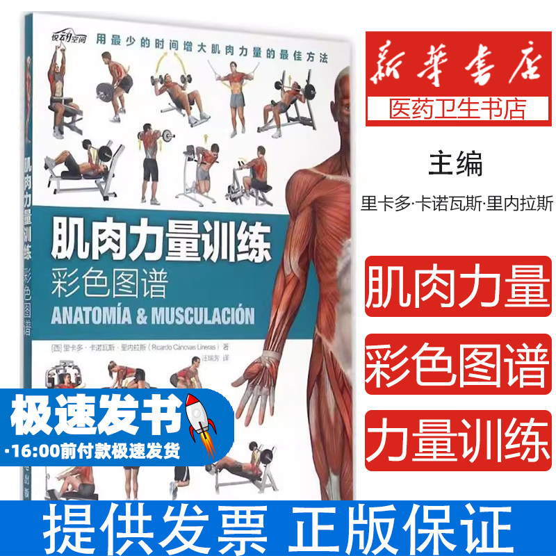 肌肉力量训练彩色图谱 运动健身肌肉拉伸书籍囚徒健身科手臂核心健身训练计划力量训练徒手健身 健身书籍 健身训练计划