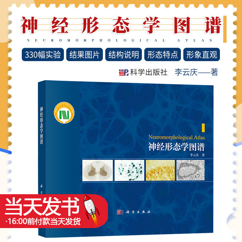神经形态学图谱神经形态学图