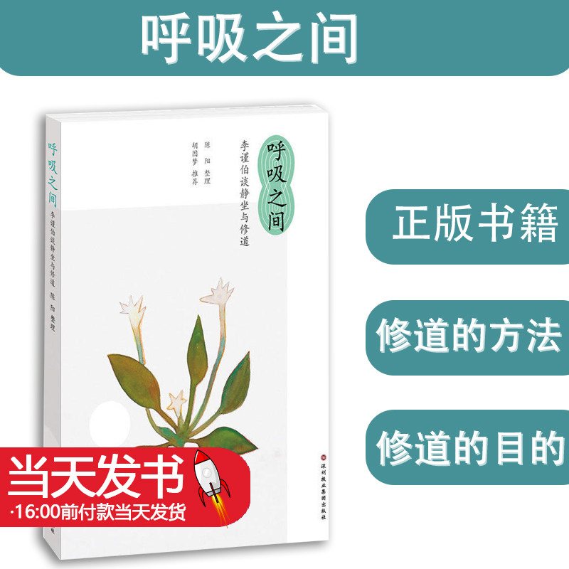 呼吸之间李谨伯谈静坐与修大道