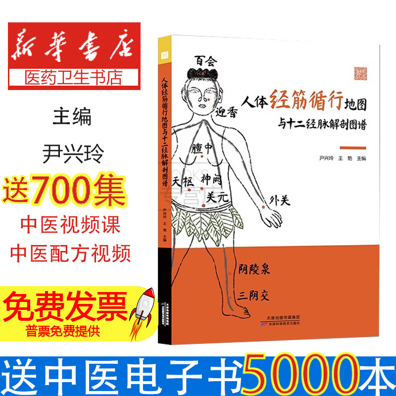 人体经筋循行地图与十二经脉解剖图谱尹兴玲王艳主编天津科学技术出版社中医经络学习经筋解剖循行图解筋结点学习中医推拿针灸入门