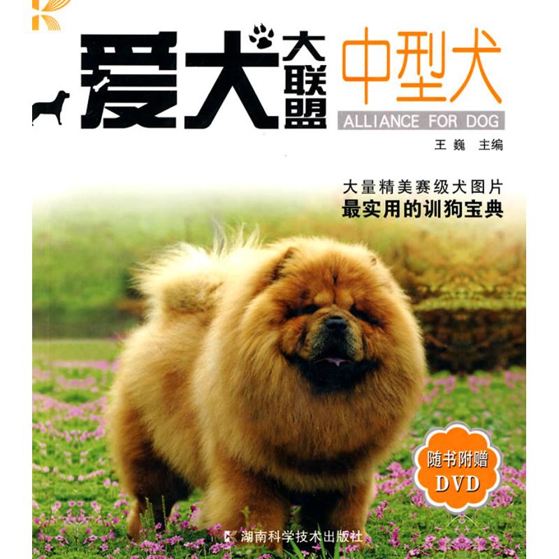 中型犬爱犬大联盟随书附赠 DVD 王巍湖南科学技术出版社宠物饲养犬类训练狗狗百科萌宠训犬手册