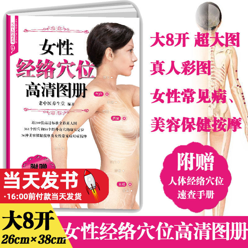 女性经络穴位高清图册