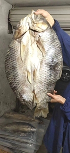 千岛湖螺蛳青干货年货整条大青鱼礼盒包邮