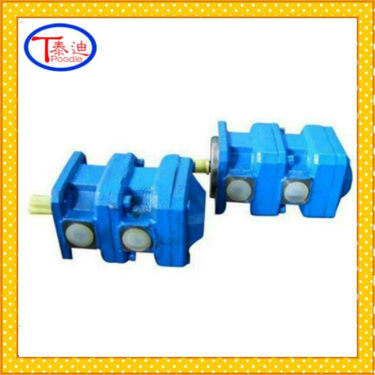 现货GPA3-40-40-E-20-R6.3内啮合双联齿轮泵 用于磨床 发泡机等