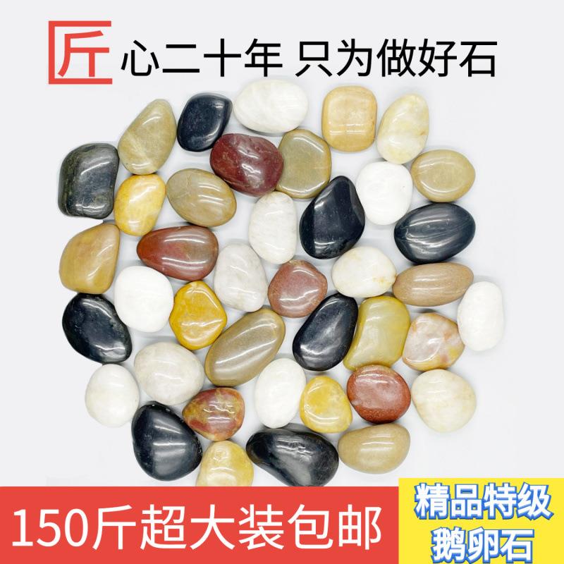 雨花石铺路精品花盆大小石头铺庭院铺地石子园林天然造景石鹅卵石