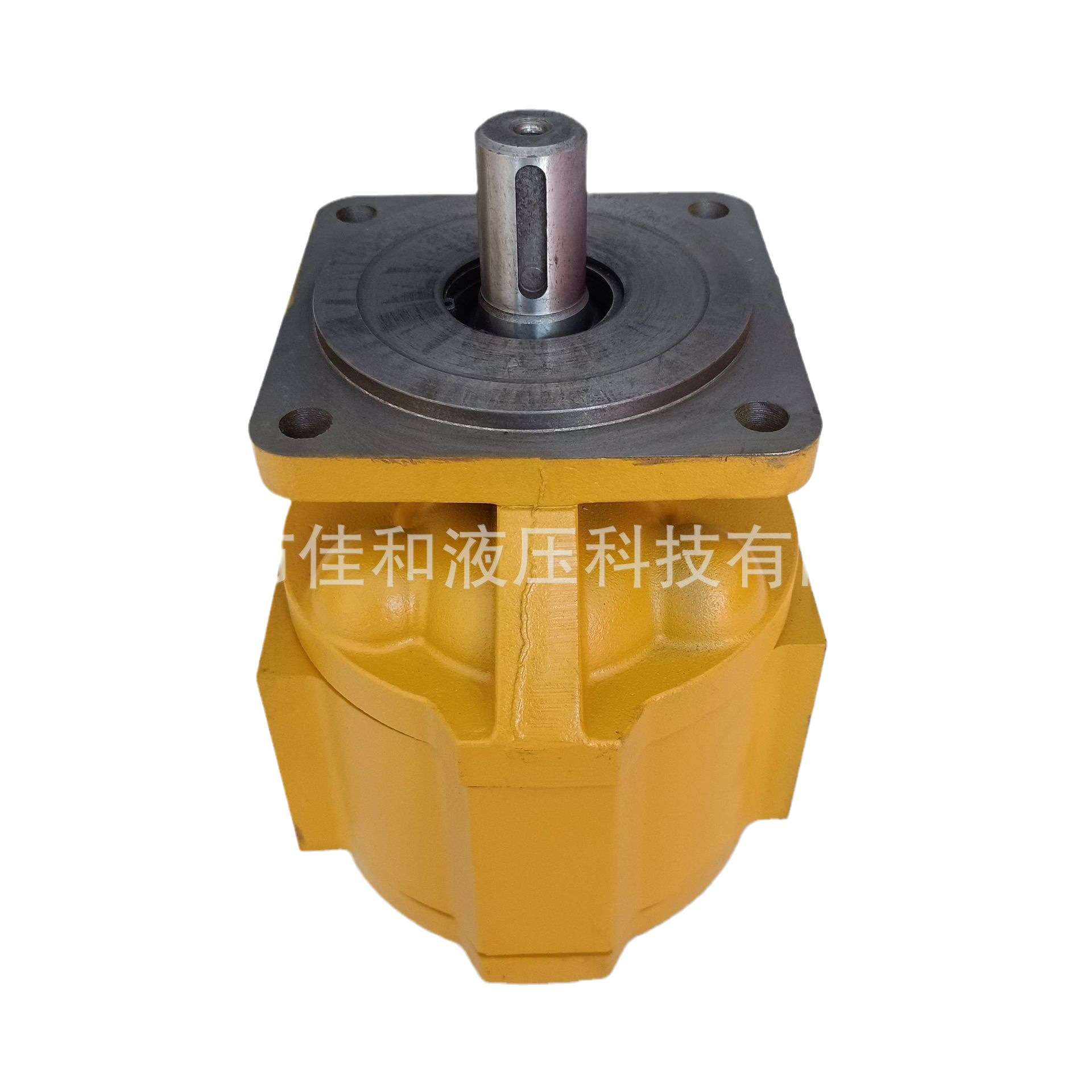 渔船齿轮泵CBG3200  渔船起网马达CMG3160 铸铁耐用 非标生产