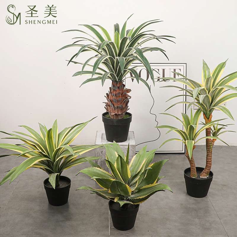 仿真龙舌兰白边金边剑麻剑兰树假树客厅装饰丝兰树大型植物盆景
