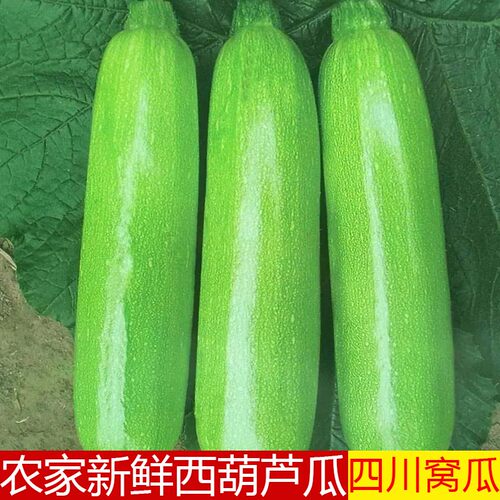 新鲜西葫芦农家自种四川窝瓜嫩瓜