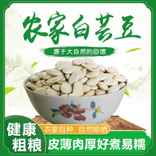 四川白芸豆农家自种粗粮五谷杂粮腰豆白云豆雪豆白豆香甜粉糯易煮
