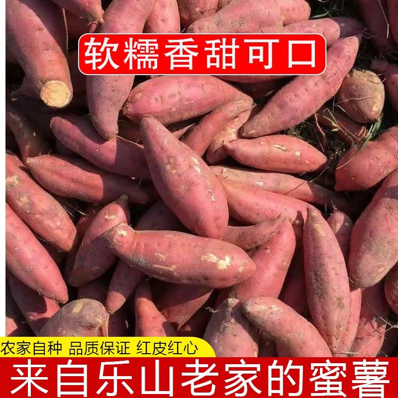 四川农家自种沙地蜜薯红薯地瓜