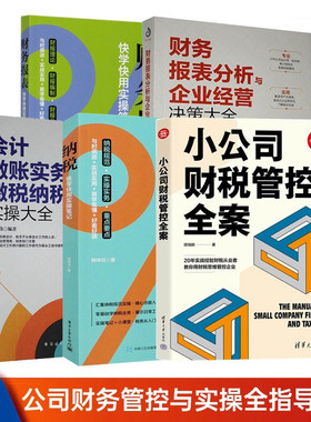 小公司财税管控快学快用