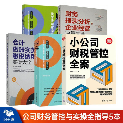 小公司财税管控快学快用