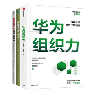 引爆执行力 企业组织管理组织架构 机制创造人 构建持续打胜仗 重塑责任心 团队3本套：华为组织力 正版