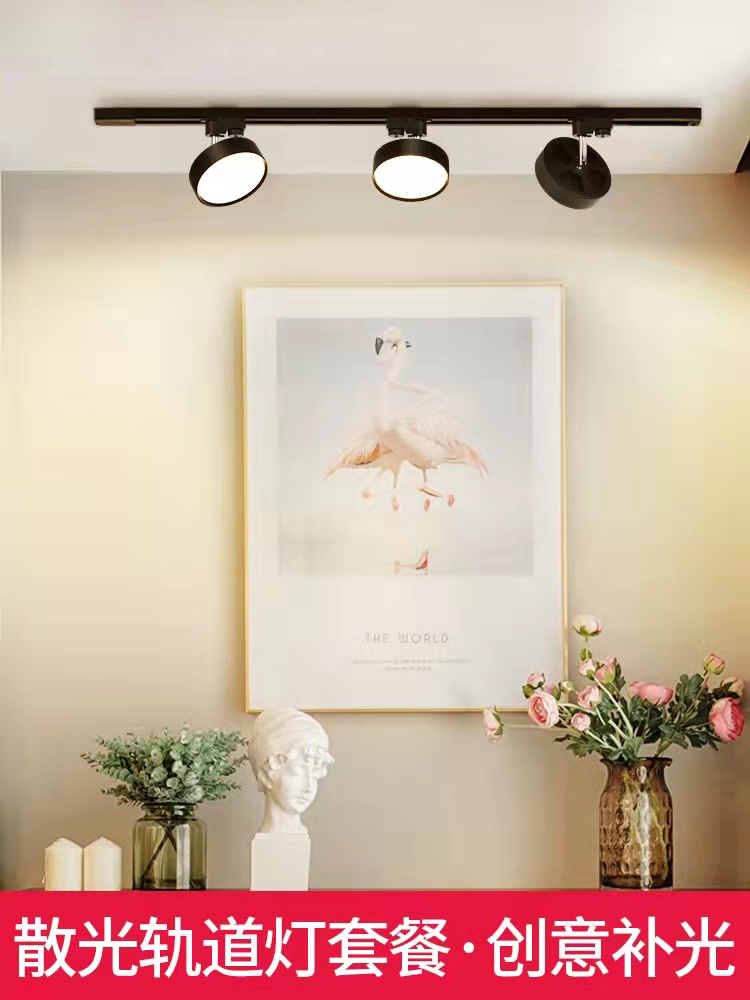 LED散光轨道灯射灯服装店直播间不刺眼照明灯店铺商用轨道补光灯