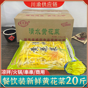 商用雷阿塘清水黄花菜新鲜凉拌菜盐水金针菜火锅串串食材20斤整箱