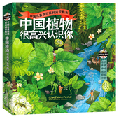 春夏秋冬四季 赠植物科学画 童书绘本自然科普绘本中国本土植物绘本插画自然图鉴儿童课外阅读书 很高兴认识你全4册 中国植物