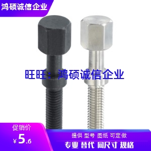 PAY01-M3/M4-L10/15/20/25/30/35/40/45/50/60外六角粗牙调整螺栓