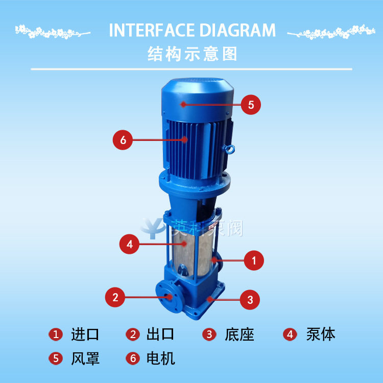 英科牌 100gdl72-14*2多级泵 高压压榨泵 增压泵 铸铁 立式管道泵