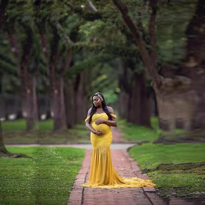 Dress Photography Dress Long Sleeves Fluttering Tail