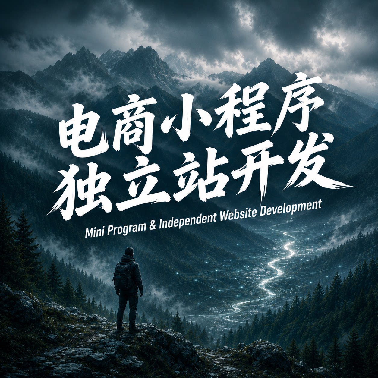 【品牌化运作】电商微信小程序开发独立站软件开发定制制作网站