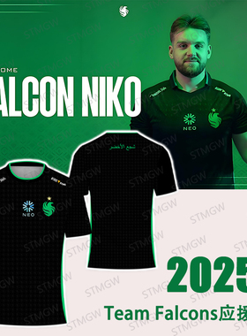 Team Falcons队服m0NESY战队服NIKO比赛衣服CSGO短袖t恤定制major