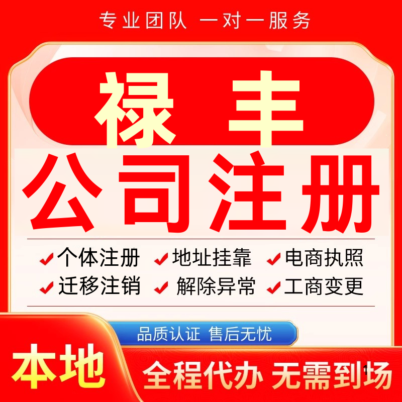禄丰公司注册办理异常个体户工商营业执照代办注销变更转让电商