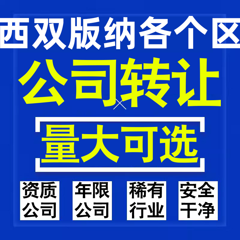 西双版纳公司股权转让收购买科技贸易教育传媒咨询类公司营业执照