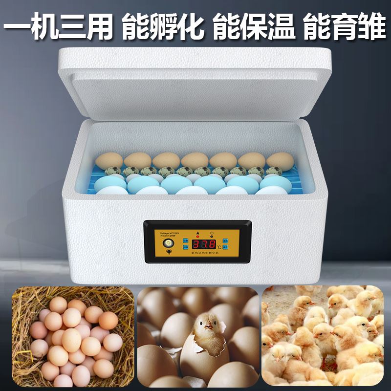 现货速发水牀孵化器家用小型儿童水箱泡沫箱小鸡小鸭子受精蛋鸡蛋