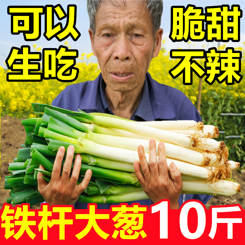 【大葱好评榜】铁杆大葱10斤