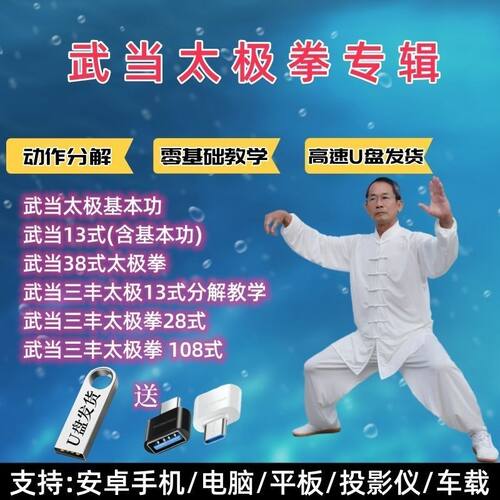 武当太极拳视频U盘13式28式33式108自学动作分解教学优盘