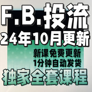 独立站FB广告投放ADS教程运营投流课程网课海外外贸开发网址搭建