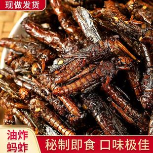 蚂蚱油炸即食正宗新鲜香辣蝗虫油炸蚂蚱山东特产即食昆虫蚱蜢大促