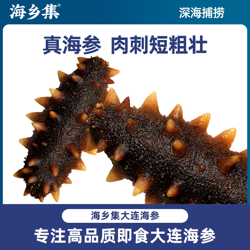 海乡集海参即食海参刺参大连鲜活海生辽参刺参