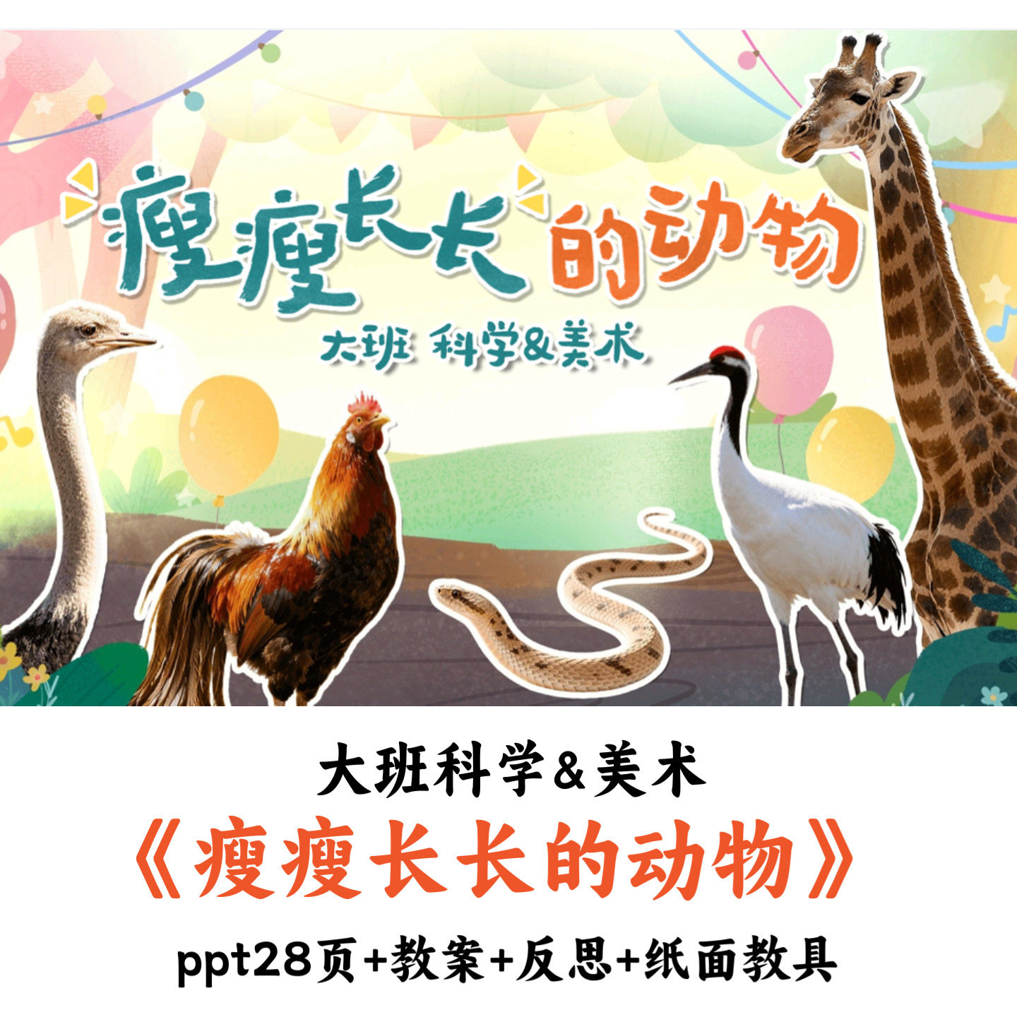 幼儿园大班科学美术《瘦瘦长长的动物》PPT教案纸面教具优质