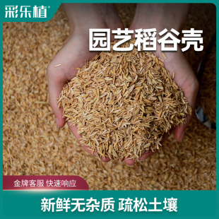 新鲜稻壳种花基质营养土拌土疏松土壤宠物垫料酿酒醋辅料