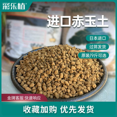 日本进口硬质赤玉土多肉铺面兰花