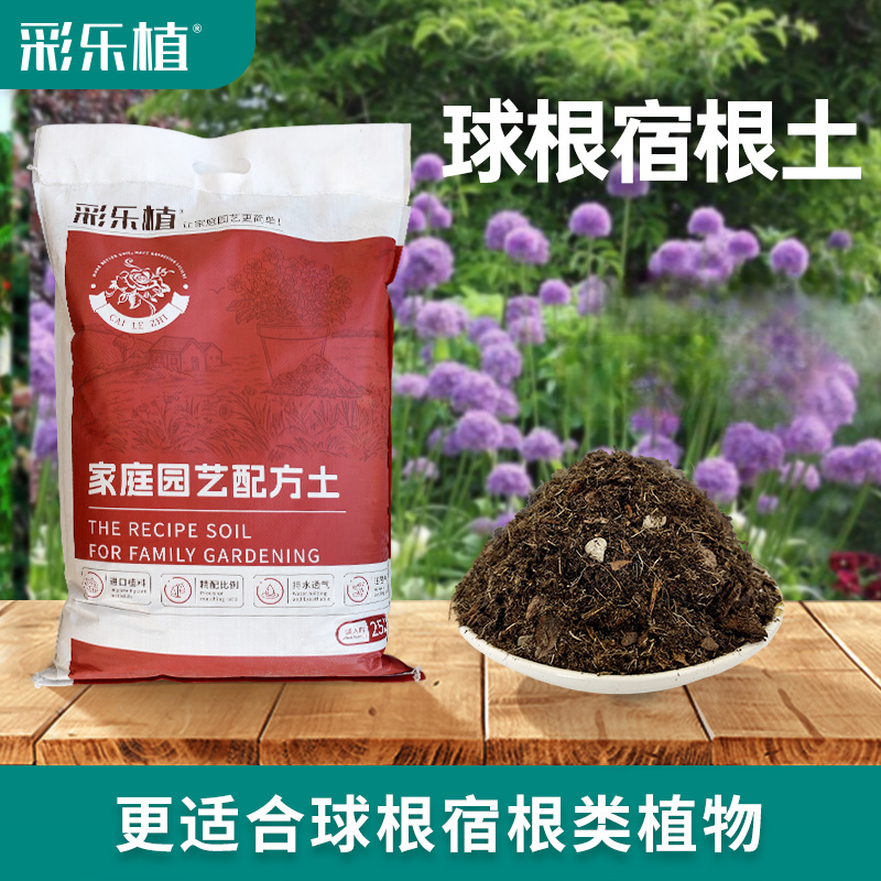 彩乐植球根土宿根朱顶红郁金香