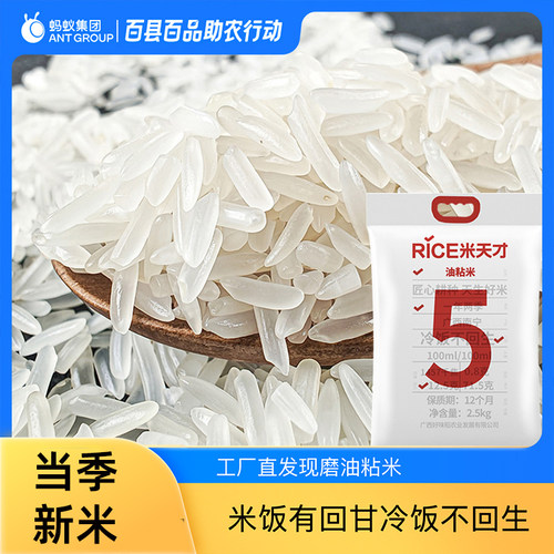 正宗油粘米广西大米