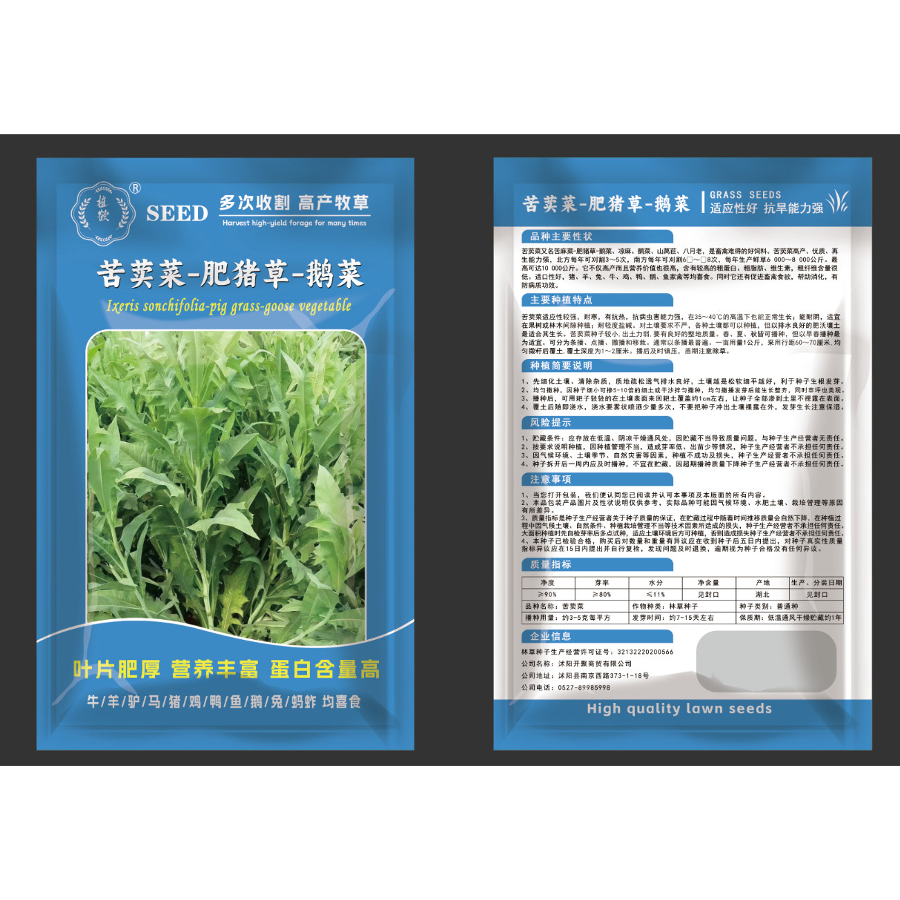 苦麦菜种子四季高产多年生牧草多茬收割畜牧养殖耐寒旱高蛋白草籽