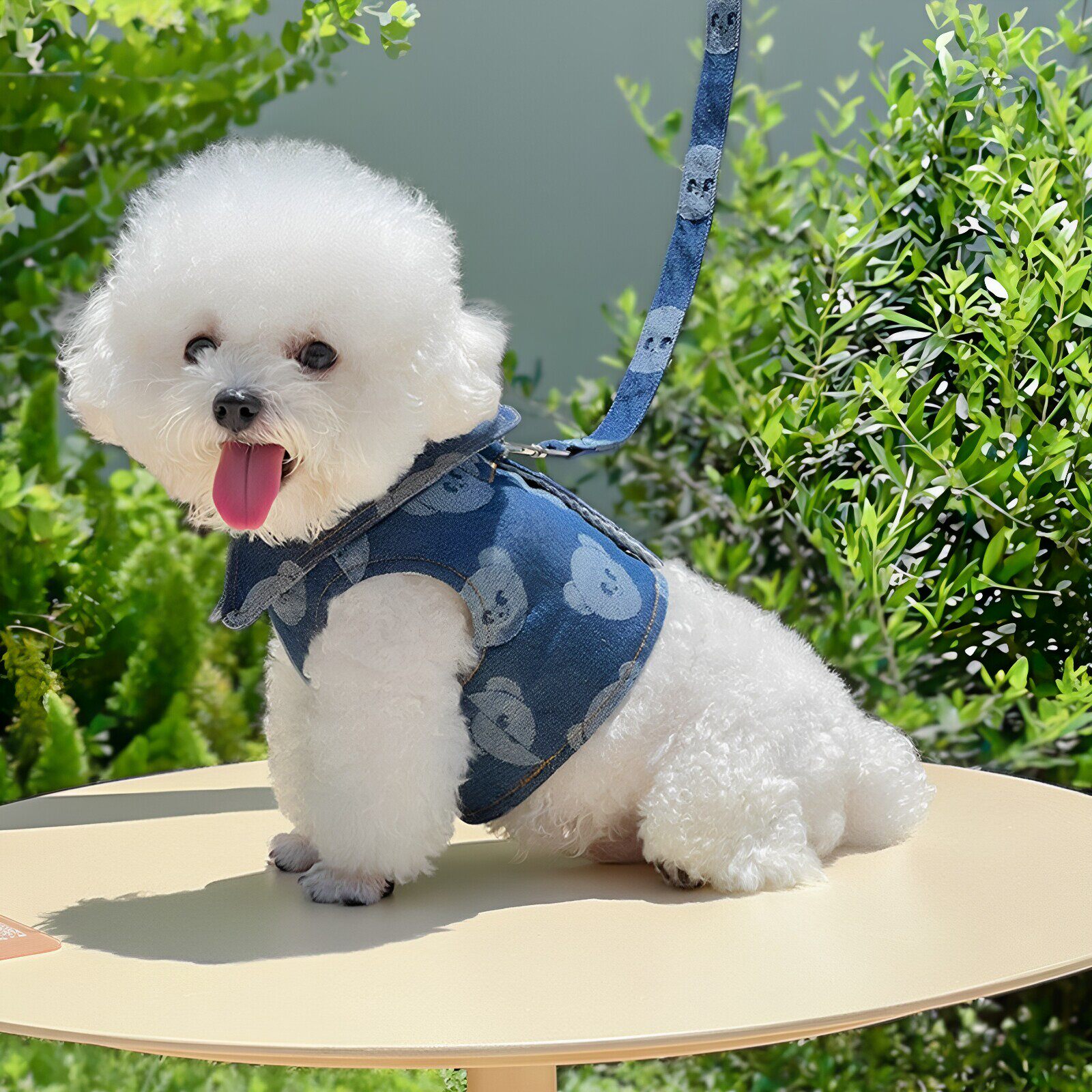 狗狗衣服新款牛仔胸背带宠物布偶猫咪胸背带夏季外出专用可牵引绳